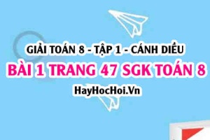 Giải bài 1 trang 47 Toán 8 Tập 1 SGK Cánh Diều